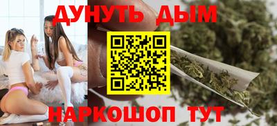 сатива Краснознаменск