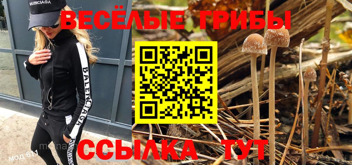 Галлюциногенные грибы Psilocybine cubensis  Галлюциногенные грибы Psilocybine cubensis  цены наркотик  Арзамас  Вход с VPN 